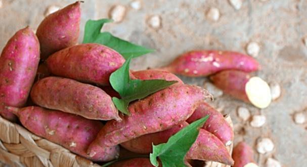 红薯可以排毒养颜 红薯可以排毒养颜