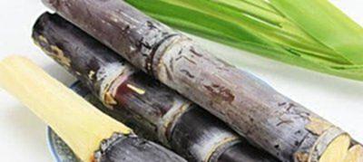 甘蔗中的膳食纤维能促进肠胃蠕动 甘蔗中的膳食纤维能促进肠胃蠕动